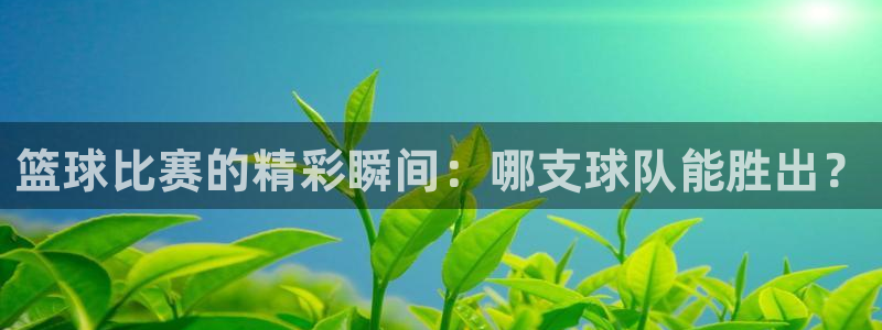  意昂平台登录入口2025：篮球比赛的精彩瞬间：哪支球队能胜出