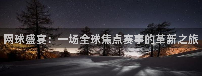  意昂平台登录方法：网球盛宴：一场全球焦点赛事的革新之旅