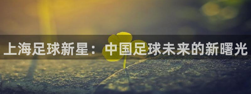 意昂平台登录方法：上海足球新星：中国