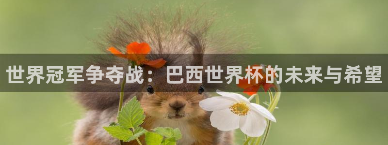 意昂体育网页登录入口入口官网网页版：