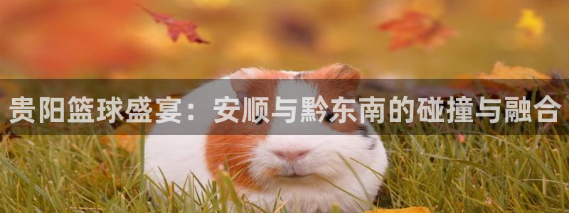 意昂平台官网：贵阳篮球盛宴：安顺与黔东南的碰撞与融合