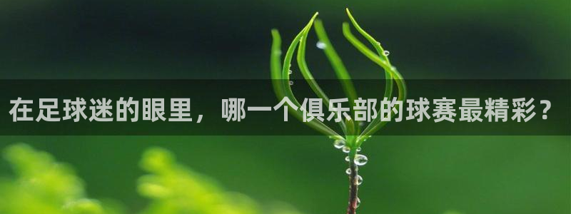 意昂体育app官方下载安装：在足球迷的眼里，哪一个俱乐部的球