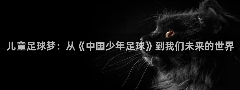 意昂平台登录入口2025：儿童足球梦