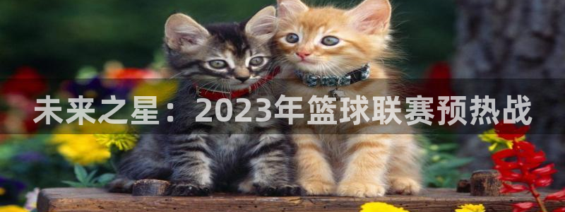  意昂体育app官方网站入口下载：未来之星：2023年篮球联赛