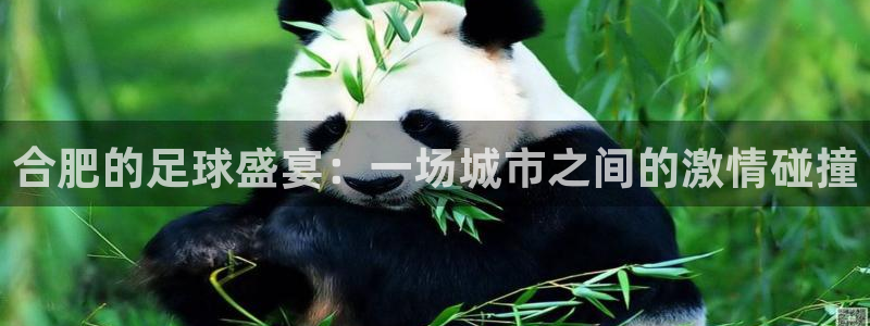 意昂体育app官方网站入口下载：合肥的足球盛宴：一场城市之间