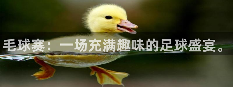 意昂体育app官方网站入口在线观看：