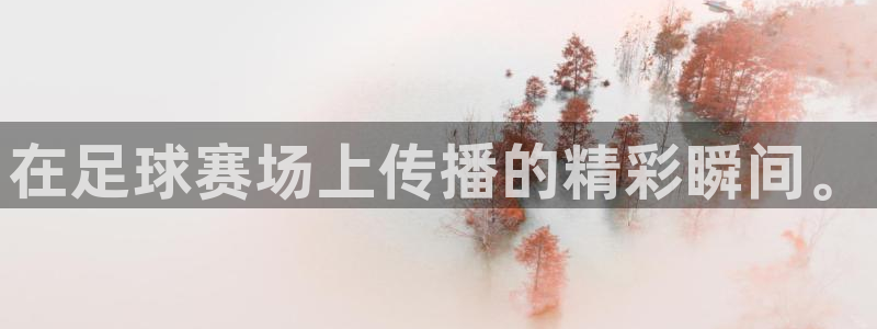 意昂体育app官方网站入口在线观看：在足球赛场上传播的精彩瞬
