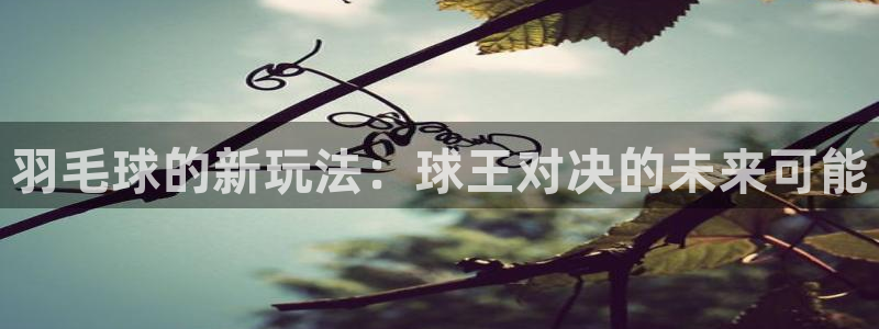  意昂平台：羽毛球的新玩法：球王对决的未来可能