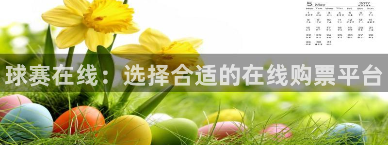  意昂平台登录入口2025：球赛在线：选择合适的在线购票平台