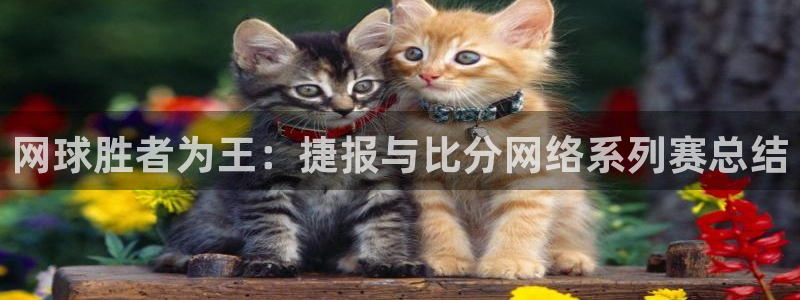  意昂体育是正规平台的吗：网球胜者为王：捷报与比分网络系列赛总