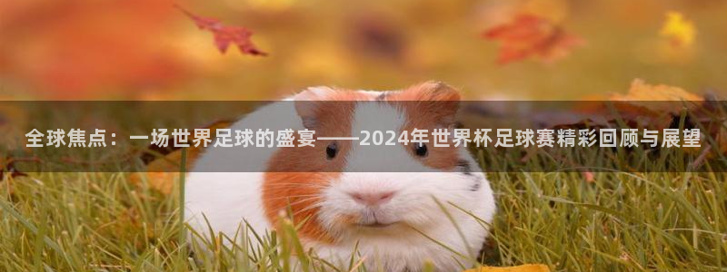 意昂体育是正规平台的吗：全球焦点：一场世界足球的盛宴——20
