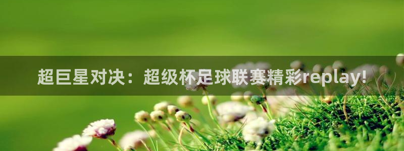 意昂平台登录入口2025：超巨星对决：超级杯足球联赛精彩re