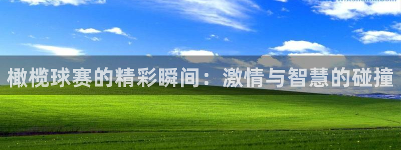  意昂平台登录入口2025：橄榄球赛的精彩瞬间：激情与智慧的碰