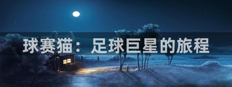  意昂体育网页登录入口入口官网网页版：球赛猫：足球巨星的旅程