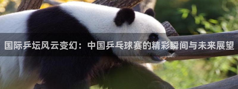 意昂体育网页登录入口入口官网网页版：