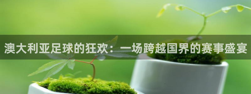 意昂平台登录入口2025：澳大利亚足球的狂欢：一场跨越国界的
