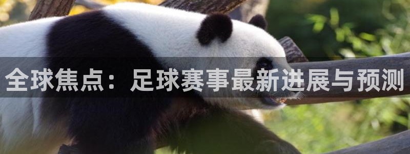  意昂体育app官方网站入口在线观看：全球焦点：足球赛事最新进