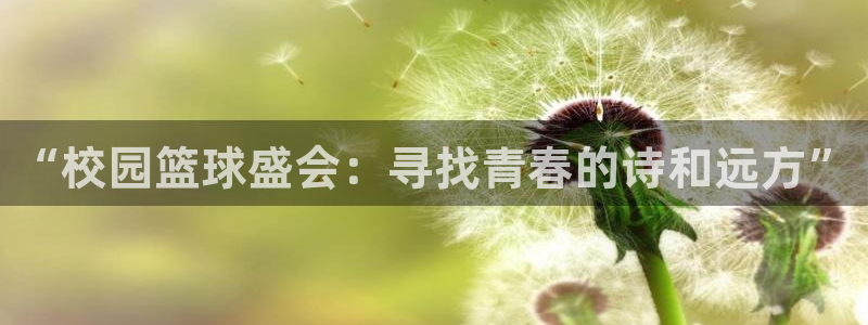  意昂平台官网：“校园篮球盛会：寻找青春的诗和远方”